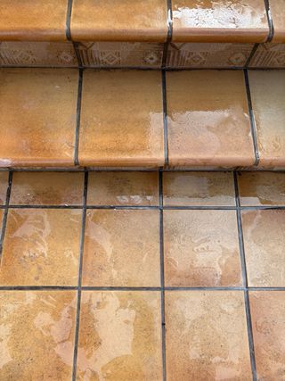 BUSCO este tipo de suelo