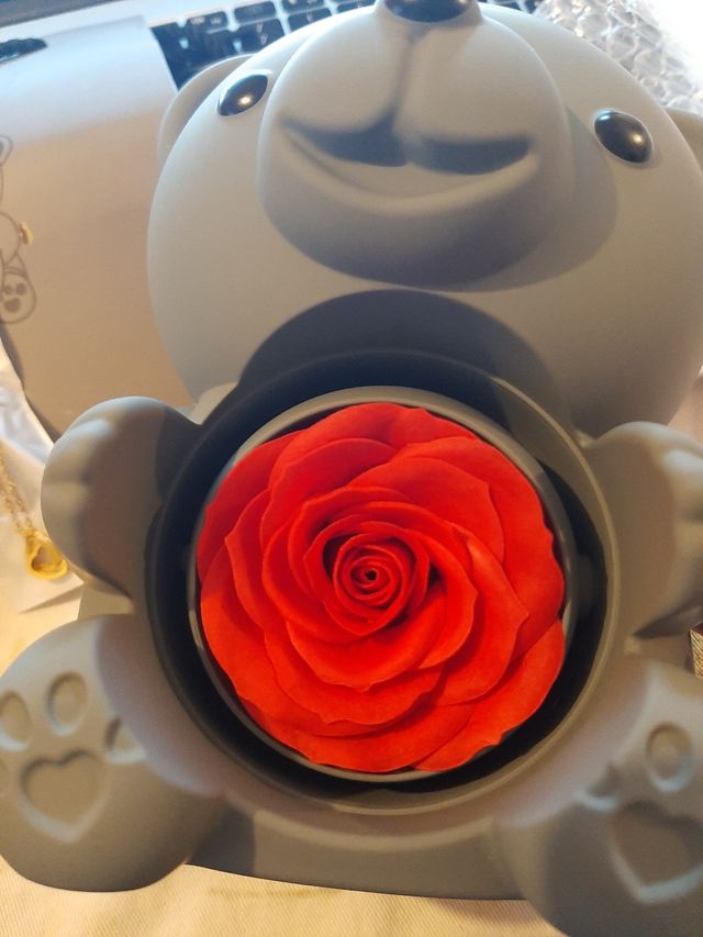 Cofanetto regalo con orso . 