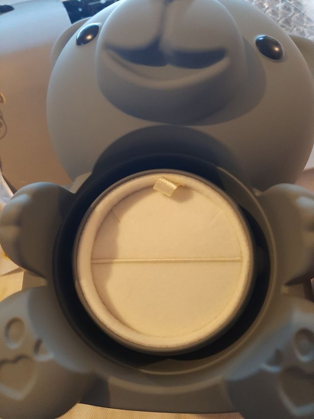 Cofanetto regalo con orso . 