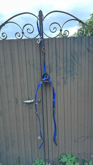 Pechopetral biotane azul