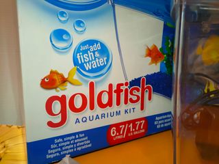 Acuario peces Marina