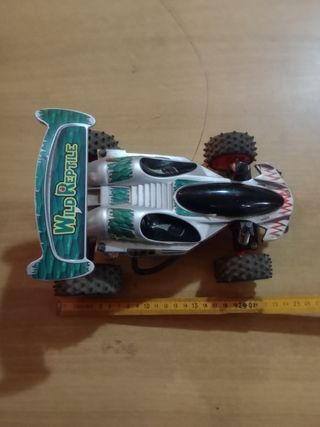 Macchinina fuori strada