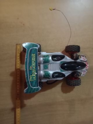 Macchinina fuori strada