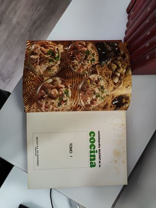Enciclopedia cocina Salvat 10 tomos