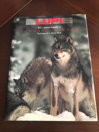 LUPI