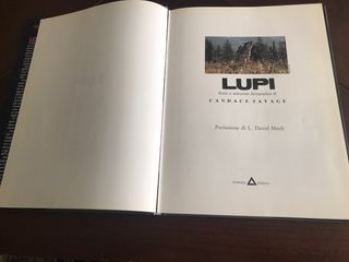 LUPI
