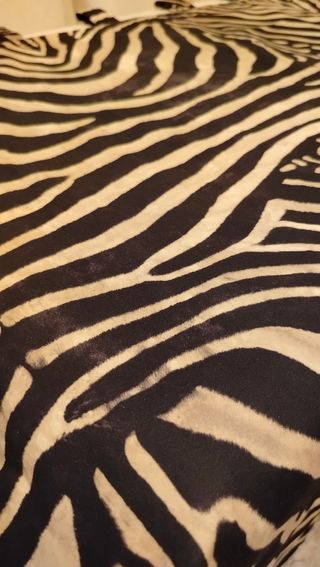 CORTINA CEBRA 95 x 93 TRABILLAS NUEVA