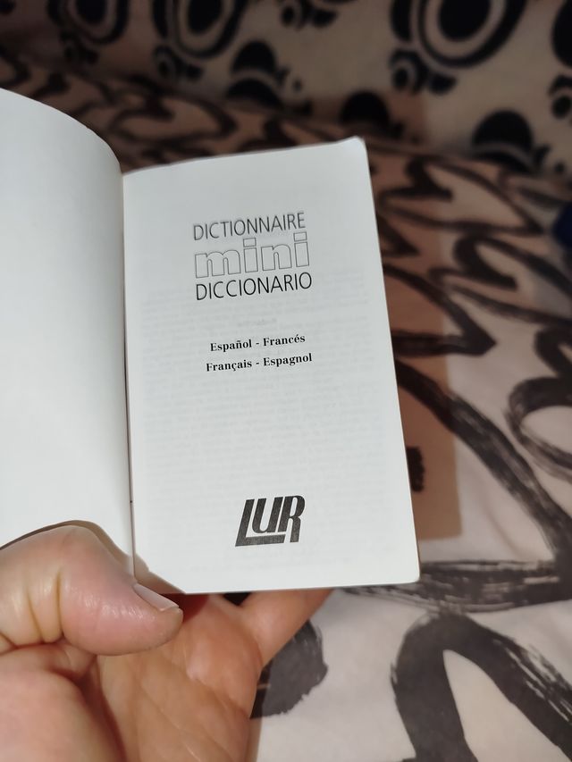 MINI DICCIONARIO FRANCES