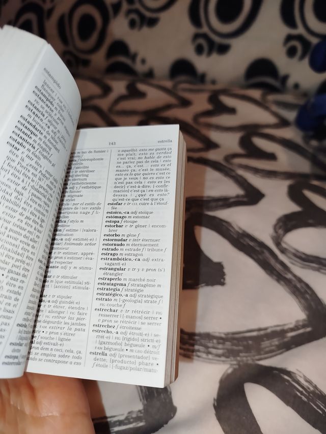 MINI DICCIONARIO FRANCES