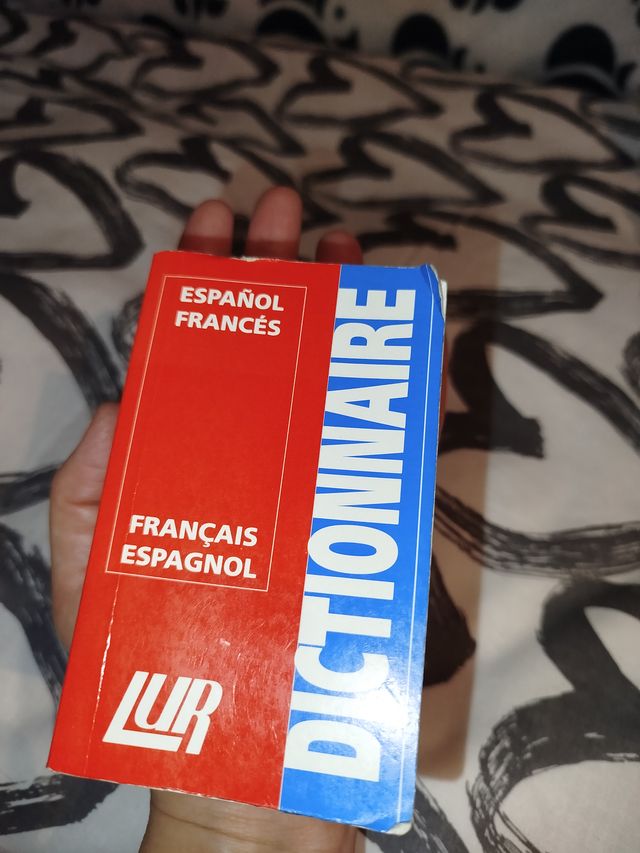 MINI DICCIONARIO FRANCES