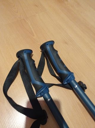 Bastones de esquí Salomon 