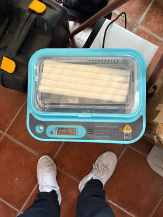 Incubadora