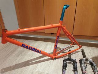 Cuadro Radikal años 90's