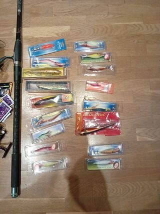 Cañás de pesca y accesorios 