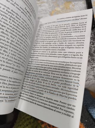 Mi compañero el Espíritu Santo
