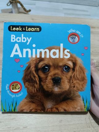 Baby Animals Board Book