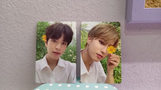 Photocards Stray Kids