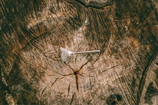 15 Escovas de Aço para Dremel 3 ModelosNOVAS