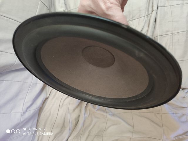 Gran altavoz sony 250w