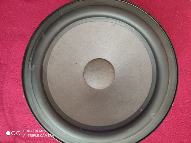 Gran altavoz sony 250w