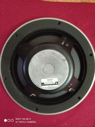 Gran altavoz sony 250w