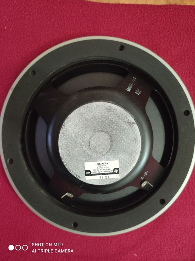 Gran altavoz sony 250w