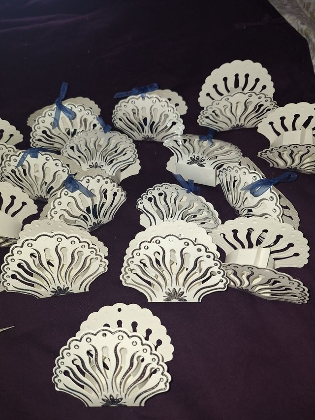 Lote 18 Cajas conchas