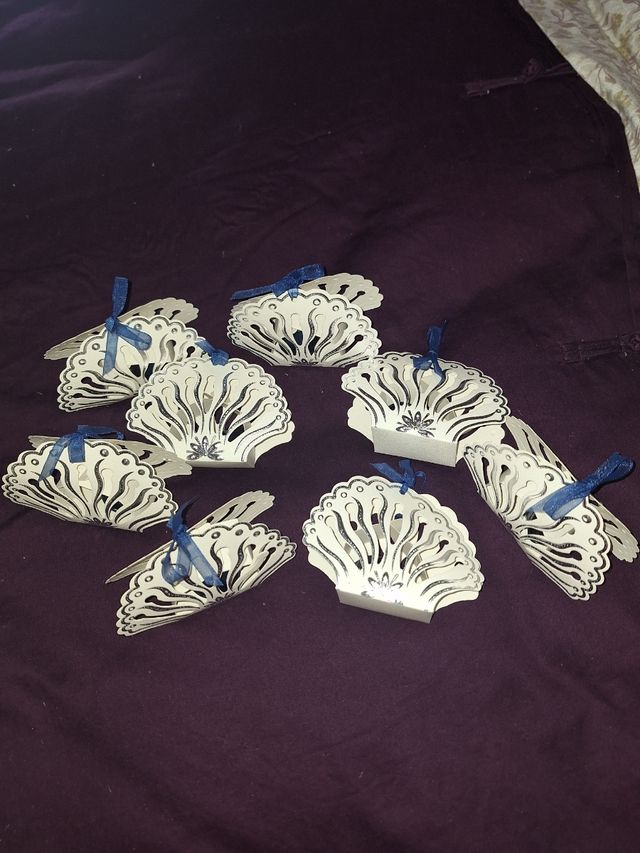 Lote 18 Cajas conchas