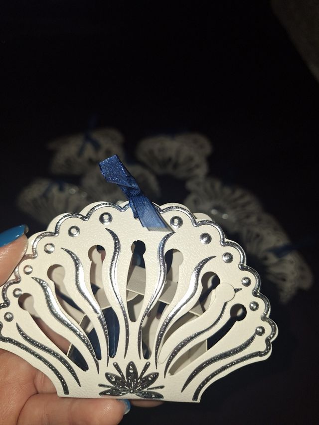 Lote 18 Cajas conchas