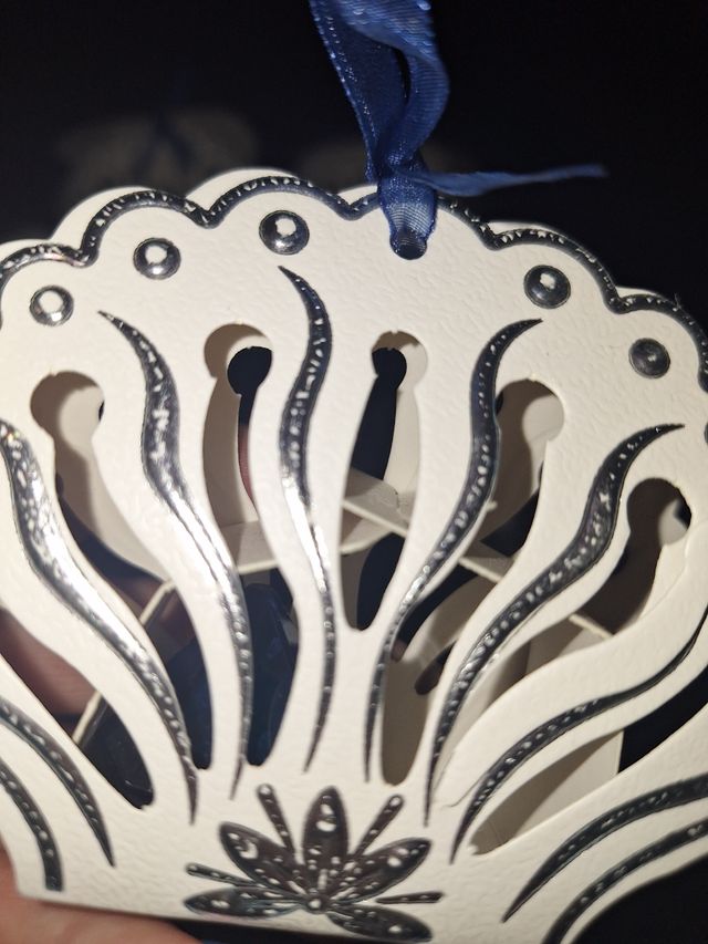 Lote 18 Cajas conchas