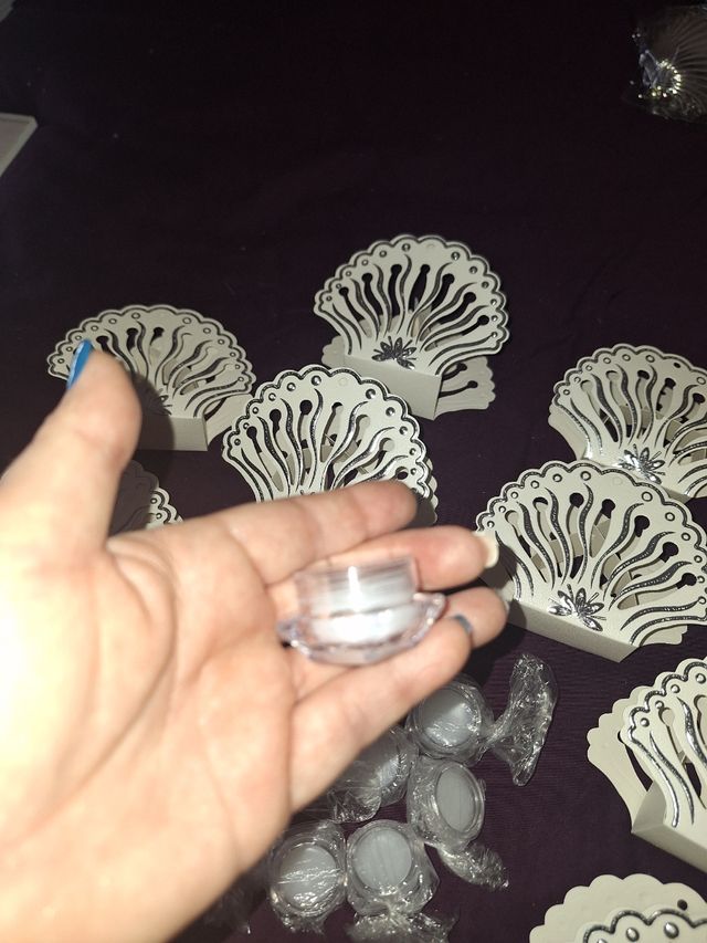 Lote 18 Cajas conchas