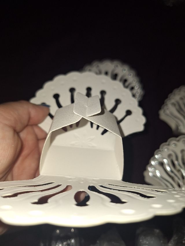 Lote 18 Cajas conchas