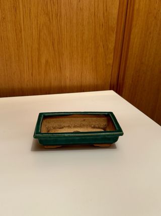 Maceta bonsai