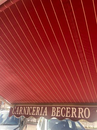 Toldo de brazo