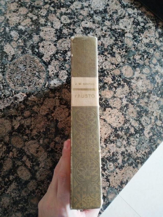 Fausto Libro