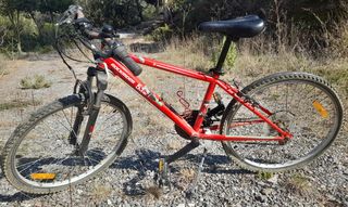 Bicicleta juvenil Rock Rider 5.1 RR