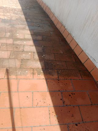 Servicio de limpieza y mantenimiento