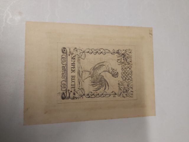 Libro Steiermark und Kaernten