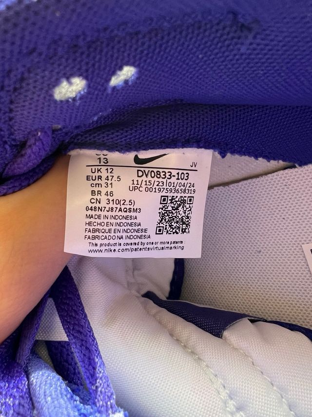 Zapatillas Nike Dunk Low Retro Concord