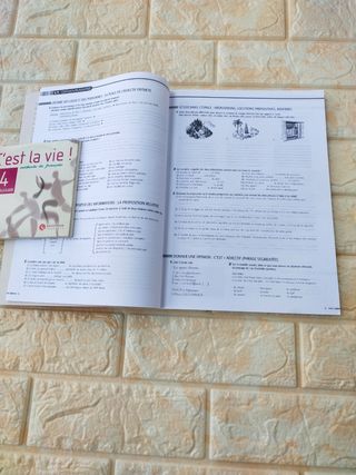 C'EST LA VIE 3 EXERCICES (French Edition)