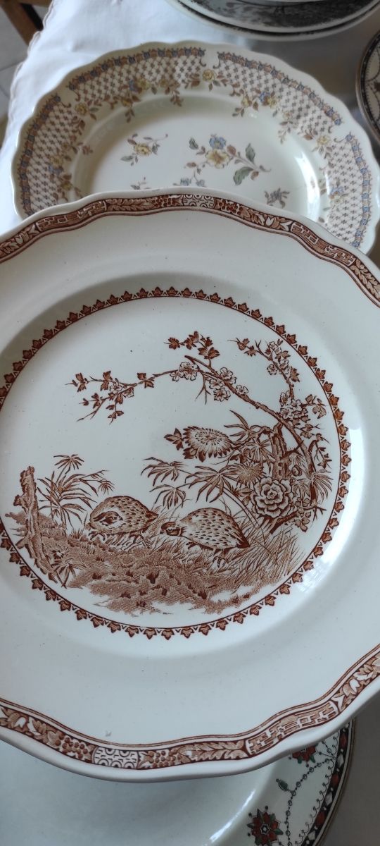 Servizio 12 piatti mix