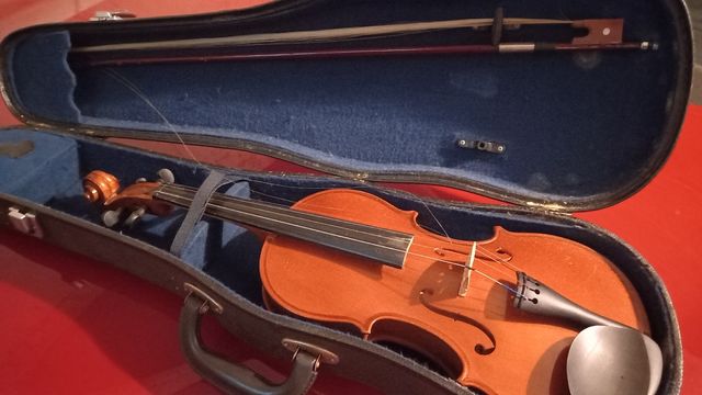 Violino