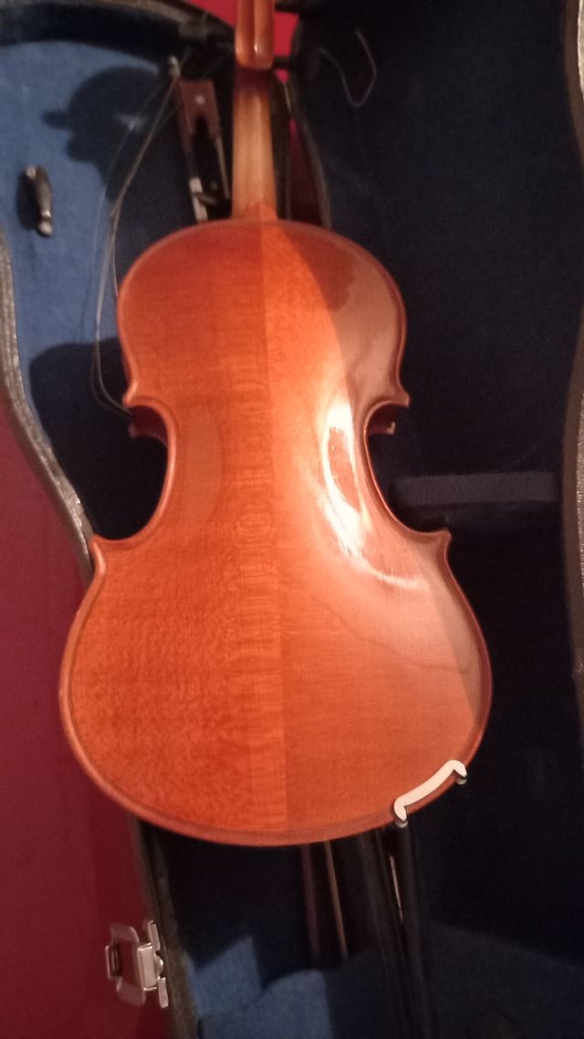 Violino