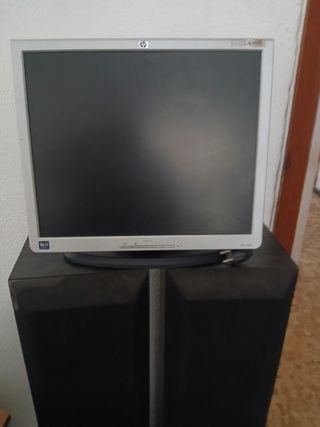Monitor ordenador. 