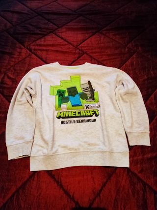 Felpa Minecraft 