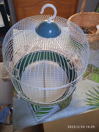 Jaula pájaros 