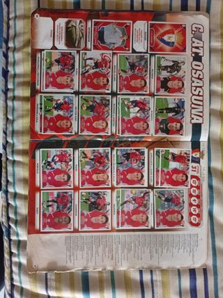 Album La Liga 2008-2009