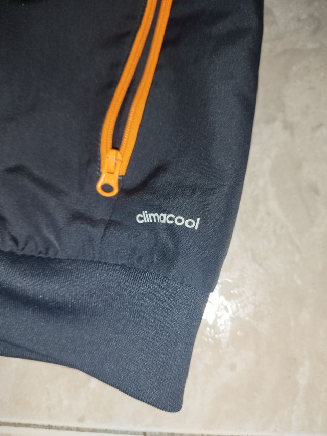 Chaqueta Real Madrid Champions 2013-14