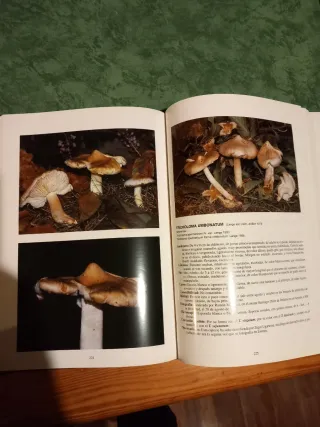 Libros Las setas en la Naturaleza I y II