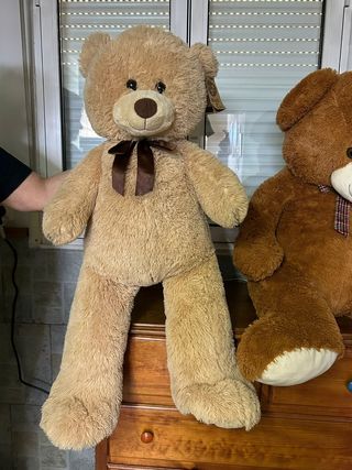 Osos de peluche